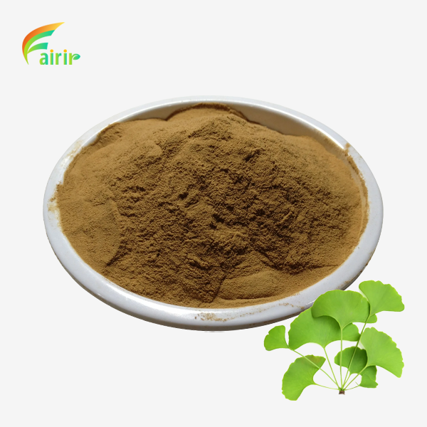Ginkgo Biloba Leaf Extract Powder